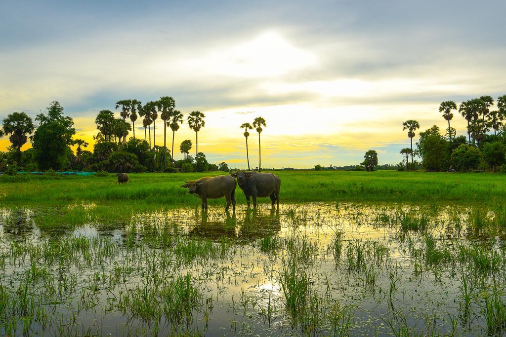 Siem Reap Friendly House Daire Dış mekan fotoğraf